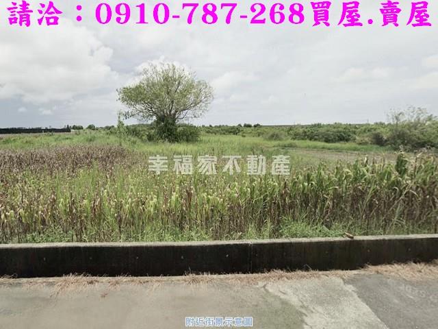 台南西港農地-12