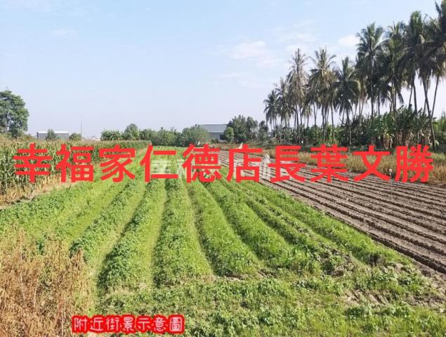 台南安定農地-9