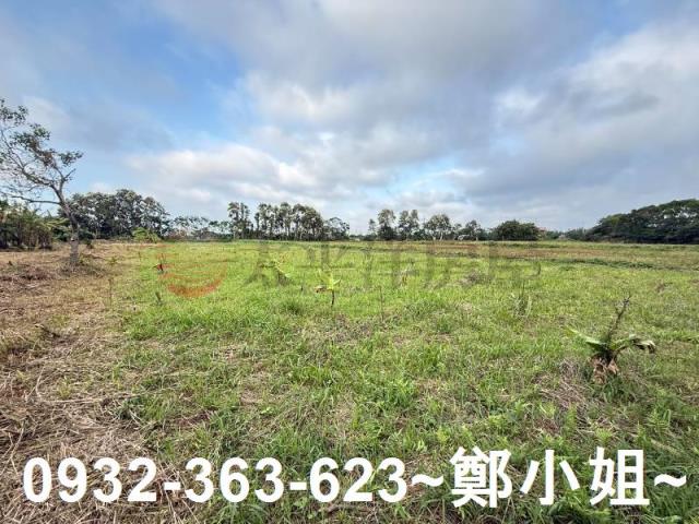 新屋農地-6