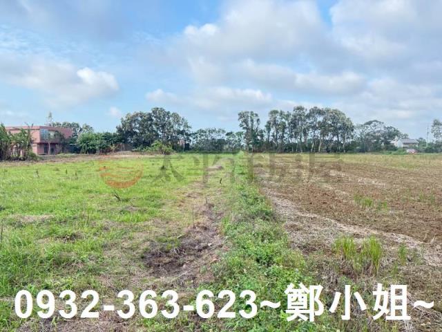 新屋農地-8