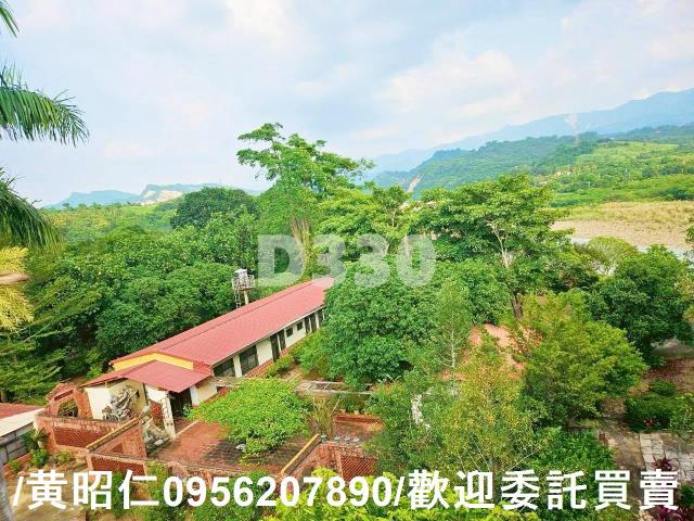 楠西農地_山坡地-12