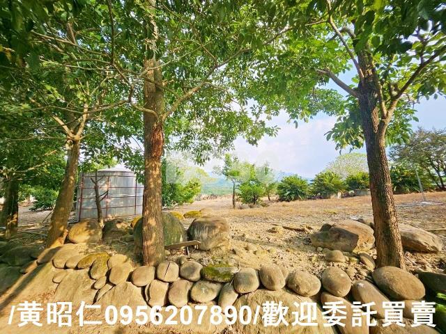 楠西農地_山坡地-14