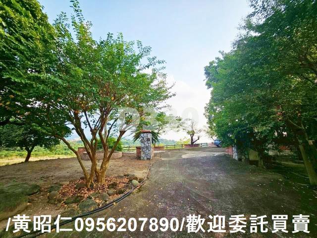 楠西農地_山坡地-15