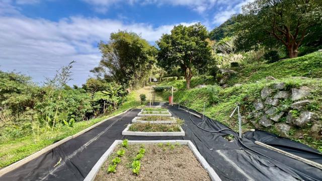 橫山農地_林地-10