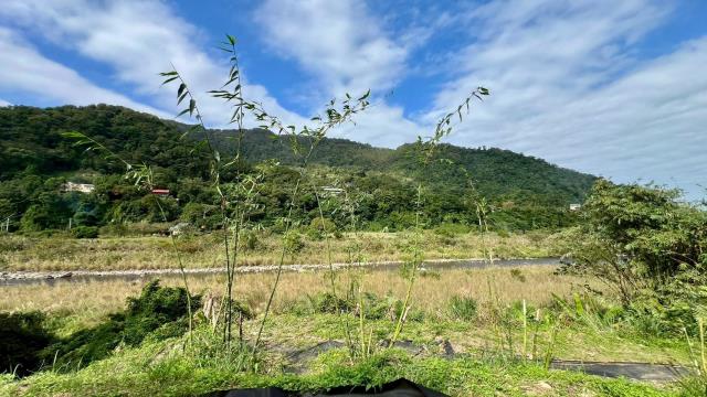 橫山農地_林地-11