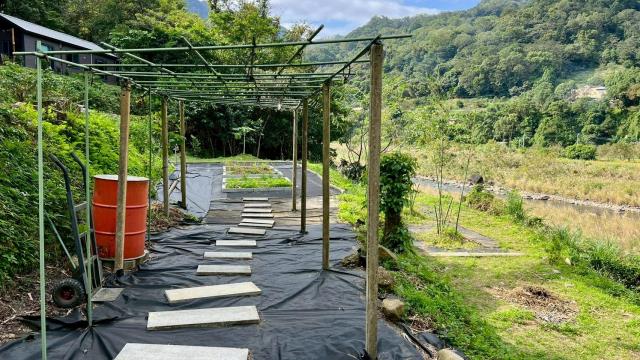 橫山農地_林地-12