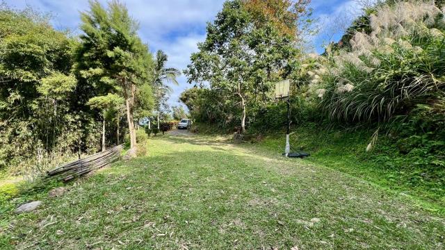 橫山農地_林地-6