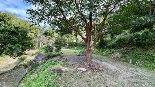 橫山農地_林地-7