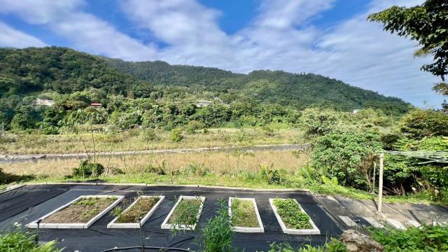 橫山農地_林地-8