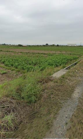 後壁農地拍賣-9