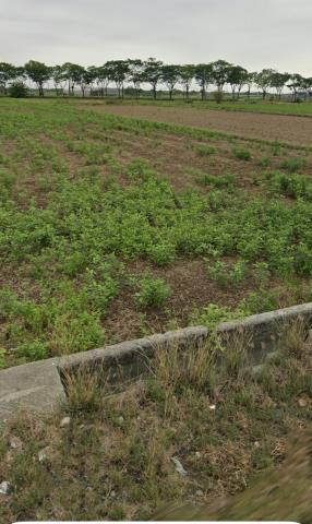 後壁農地拍賣-12