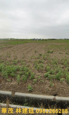 後壁農地拍賣-3