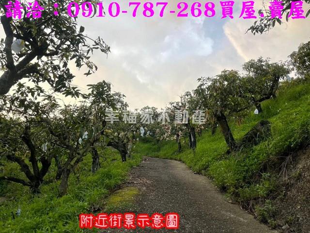 台南玉井農地-14