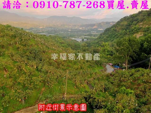 台南玉井農地-8