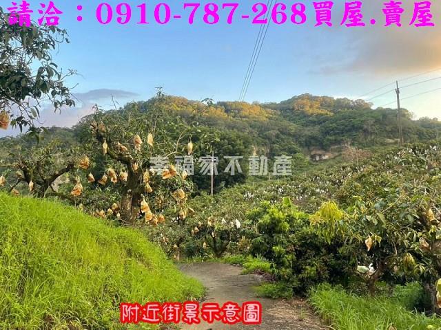 台南玉井農地-9