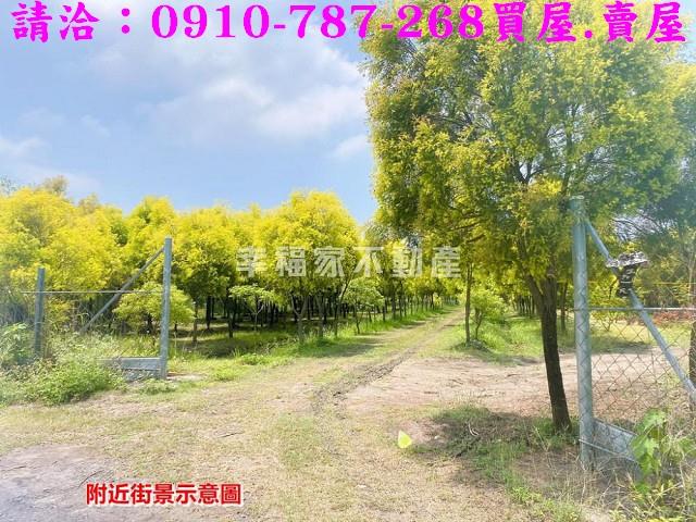 台南六甲農地-10