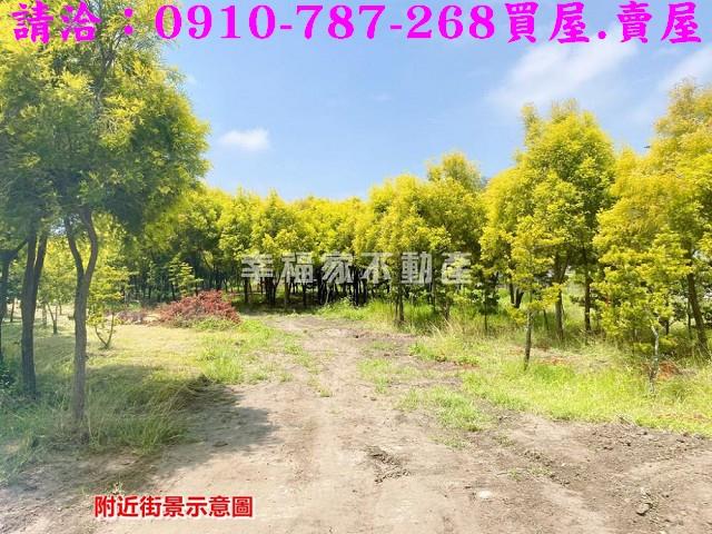 台南六甲農地-3