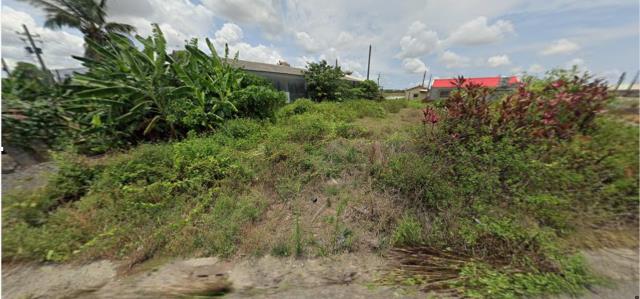 台南學甲法拍建地-8