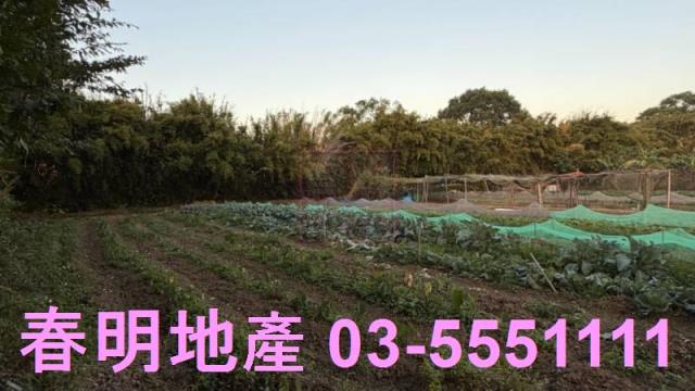 新竹竹東工業地-3