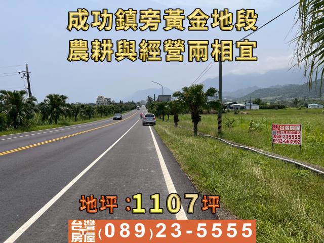 成功農地-6