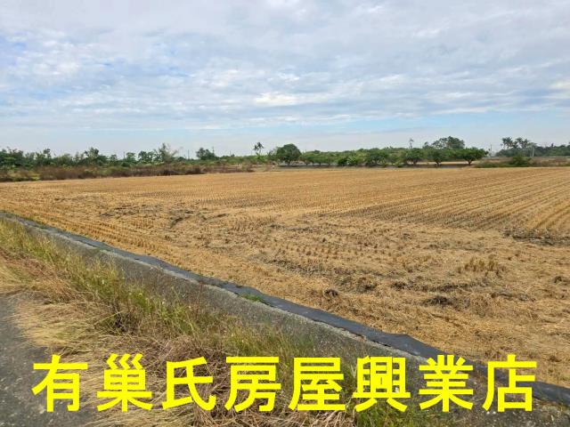 台南農地-8