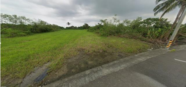 台南法拍農地-8