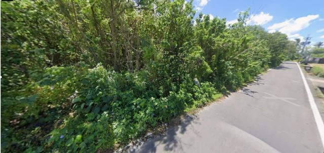 台南安定殯葬用地拍賣-12