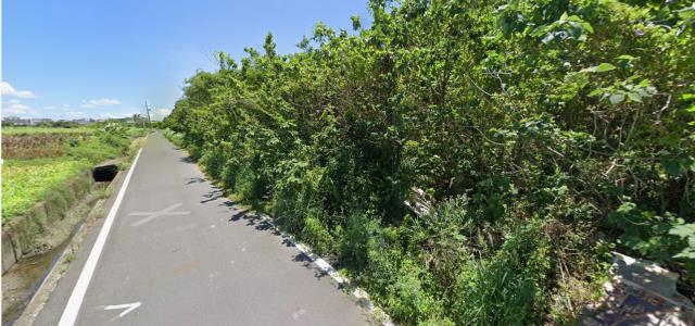 台南安定殯葬用地拍賣-5