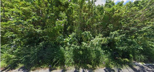 台南安定殯葬用地拍賣-9