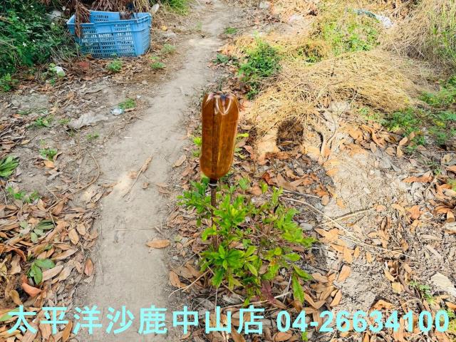 沙鹿區建地出售