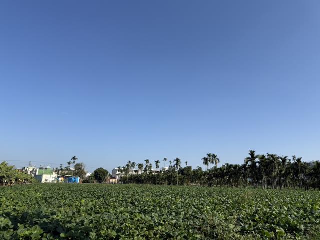 屏東市農地-3