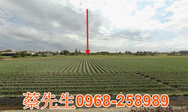 雲林口湖拍賣農地-14