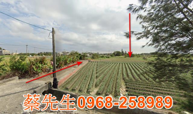 雲林口湖拍賣農地-9