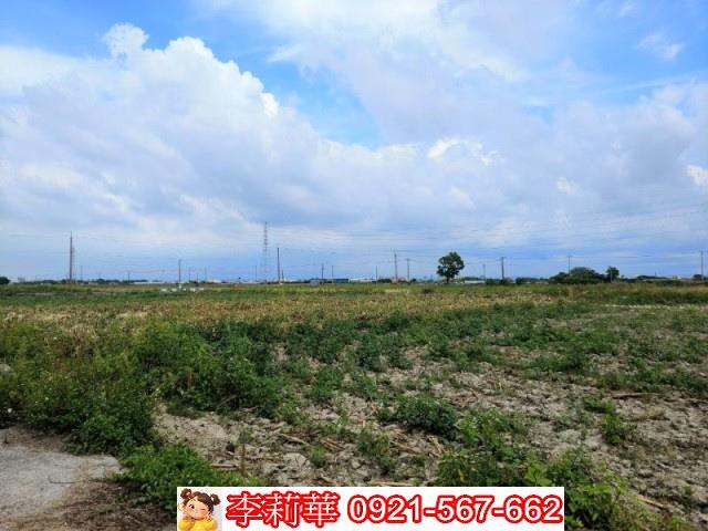台南鹽水農地-9