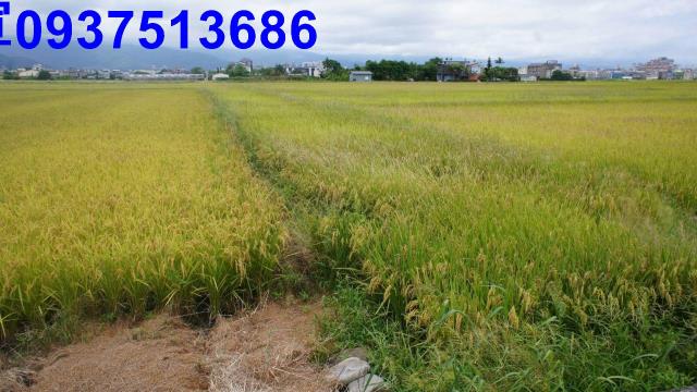 宜蘭宜蘭市農地-10