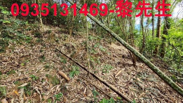 新竹北埔農地-5