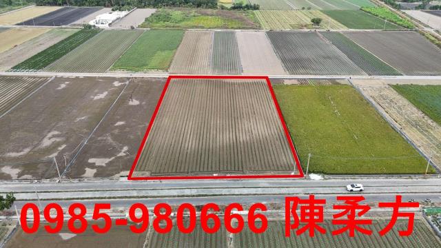 嘉義水上農地-10