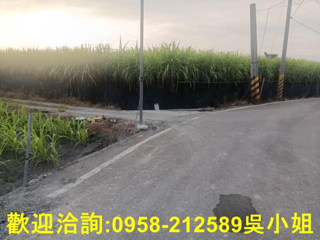 南投埔里農地-2