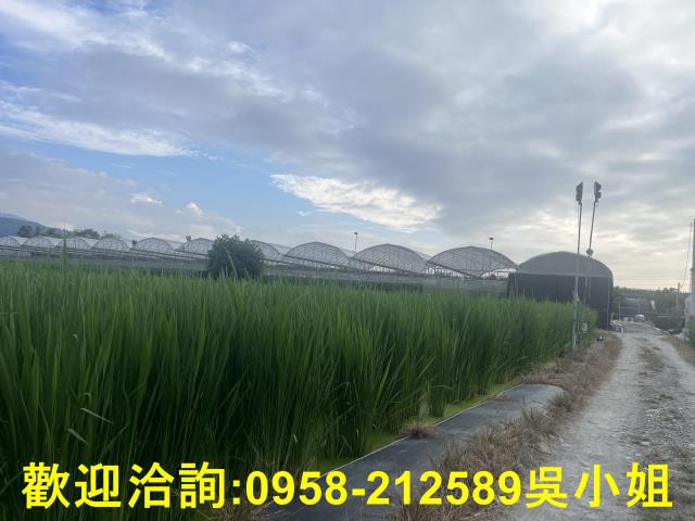 南投埔里農地-6