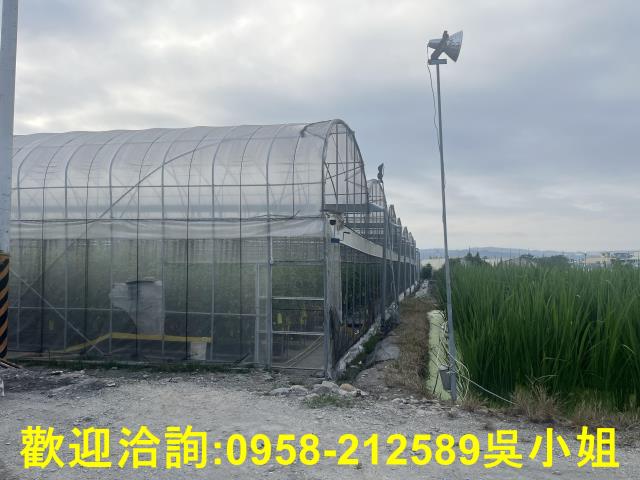 南投埔里農地-9