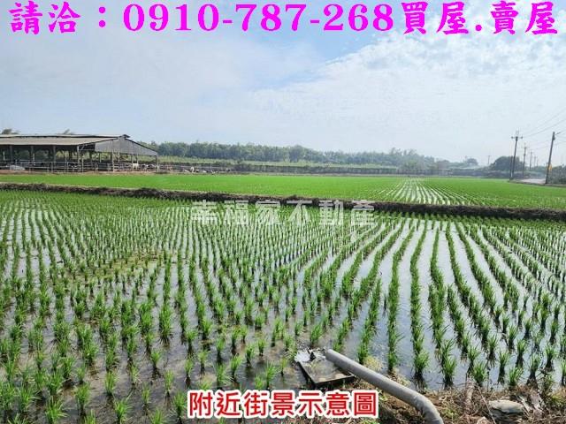 台南農地-6