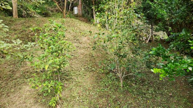 新竹北埔農地_山坡地_休閒地-11