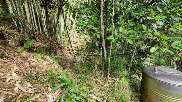 新竹北埔農地_山坡地_休閒地-14