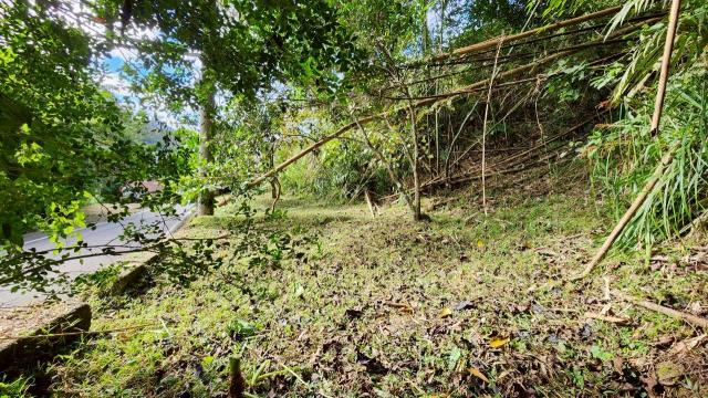 新竹北埔農地_山坡地_休閒地-7