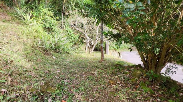 新竹北埔農地_山坡地_休閒地-8