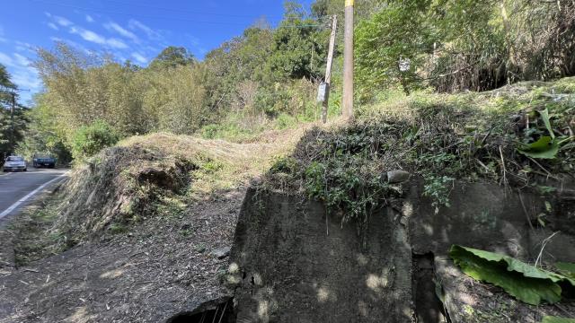 新竹關西建地_山坡地-10