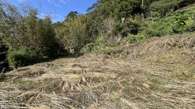 新竹關西建地_山坡地-2
