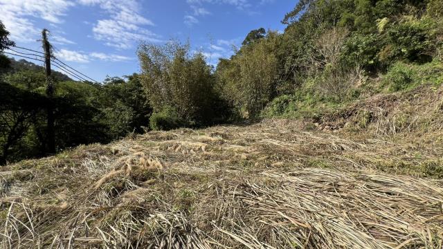 新竹關西建地_山坡地-3