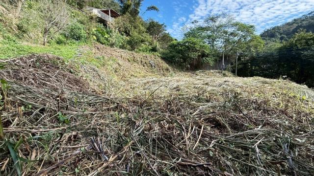 新竹關西建地_山坡地-5