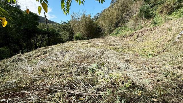 新竹關西建地_山坡地-6